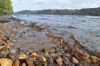 Pebbles on the shore