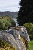 Stonewall looking to the loch