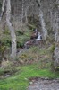 Waterfall in the grounds of Old Farm